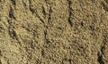 Sand.Sand texture.Sand background.Sandy soil.Sand texture. Sandy, marine. Royalty Free Stock Photo