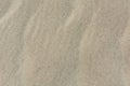 Sand texture top view with bird traces Royalty Free Stock Photo