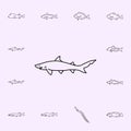 sand tiger shark icon. Fish icons universal set for web and mobile