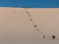 Sand Tobogganing Royalty Free Stock Photo