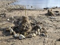 Sand tower on the lake shore Royalty Free Stock Photo