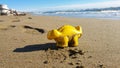 Sand Toy in Autumn Royalty Free Stock Photo