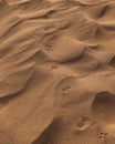 Sand tracks in death valley foryou