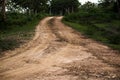 A sand trail going into a forest in India Royalty Free Stock Photo