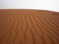 Sand Trails on the Desert