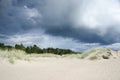 Sand trees and heavy clouds