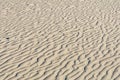 Sand wave beach desert dune abstract texture