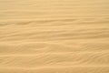 Sand wave texture of nice pale golden color