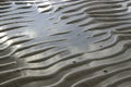 Sand waves and bird footprints Royalty Free Stock Photo