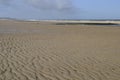 Sand waves on north sea beach, netherlands Royalty Free Stock Photo