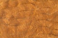 Sand waves texture . Sandy beach for background. Royalty Free Stock Photo