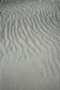 Sand waves texture on white sands like desert
