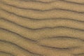 Sand wavy texture. Sandy beach for background. Top view. Royalty Free Stock Photo