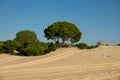 Wheel marks in the sand and blue sky Royalty Free Stock Photo