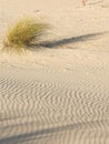 Sand and wind Royalty Free Stock Photo