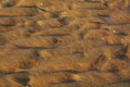 Sand and wind traces, background and texture Royalty Free Stock Photo