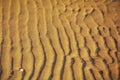 Sand and wind traces, background Royalty Free Stock Photo