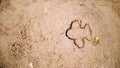 on the sand, you can see the silhouette of the airplane, the imprint of a children's sandbox for playing with sand