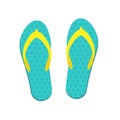 Sandal beach wear multicolor.Flip flops