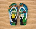 Sandal finger or slipper style tropical, toucan