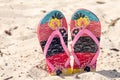 Sandal flip flop on the white sand