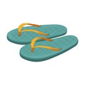 Sandal vector cartoon icon. Vector illustration flipflop on white background. Isolated cartoon illustration icon of