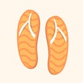 Sandal vector design flat objects