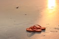 Sandals on a beach. Summer vacation concept, Orange Flip flops on a sandy ocean beach. Stylish flip flops on sand near sea, space Royalty Free Stock Photo