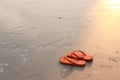 Sandals on a beach. Summer vacation concept, Orange Flip flops on a sandy ocean beach. Stylish flip flops on sand near sea, space Royalty Free Stock Photo