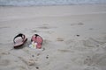 Sandals and flower on the beach