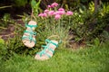 Sandals hanging on a bush, women's shoes