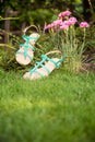 Sandals hanging on a bush, women's shoes