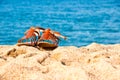 Sandals on the sand of beach, blue water Royalty Free Stock Photo