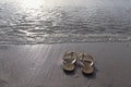 sandals on the sandy beach