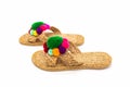 Sandals shoes handicraft made by water hyacinth on white background