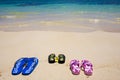 Sandals on the shore Royalty Free Stock Photo