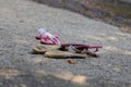 Sandals on stone closeup Royalty Free Stock Photo