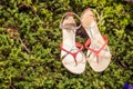 Sandals, women's elegant shoes in nature Royalty Free Stock Photo