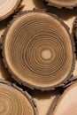 Sandalwood core macro