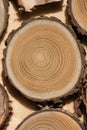 Sandalwood core macro