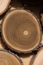 Sandalwood core macro Royalty Free Stock Photo