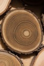 Sandalwood core macro