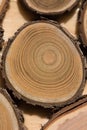 Sandalwood core macro