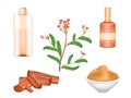 Sandalwood elements. Fresh sandal branch, powder, timber stick, perfume and oil for aromatherapy