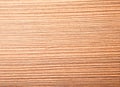 Sandalwood light. Fine image of natural wood texture background..