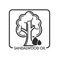 Sandalwood oil tree and drop of aromatic liquid for massages