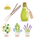 Sandalwood and Olibanum Set Vector Illustration