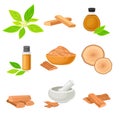 Sandalwood Tree Branch and Fragrant Powder in Bowl Vector Set