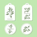 Sandalwood tree branch Tags and Labels