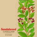 Sandalwood vector background